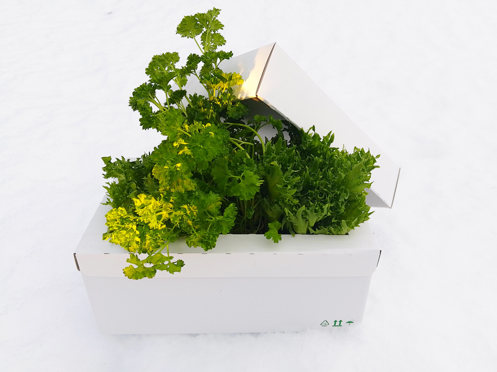 Cold and insulated boxes
